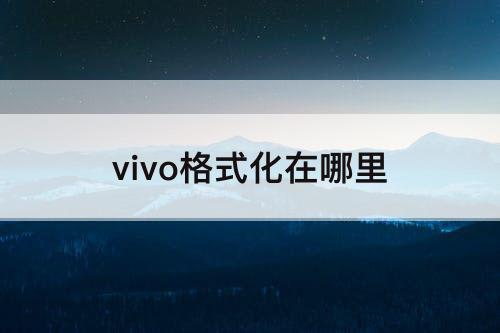 vivo格式化在哪里