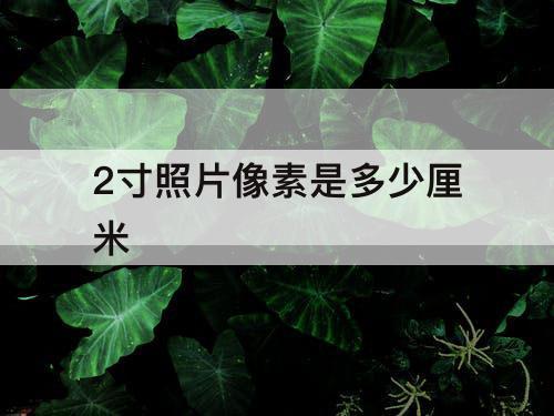 2寸照片像素是多少厘米