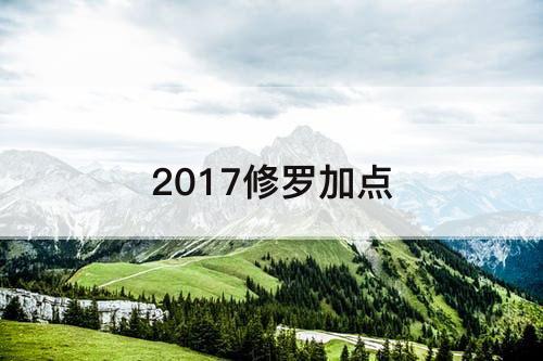 2017修罗加点