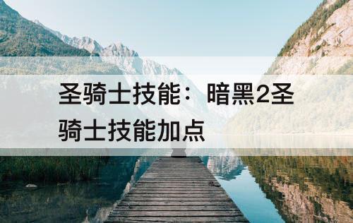 圣骑士技能：暗黑2圣骑士技能加点