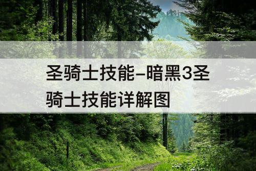 圣骑士技能-暗黑3圣骑士技能详解图