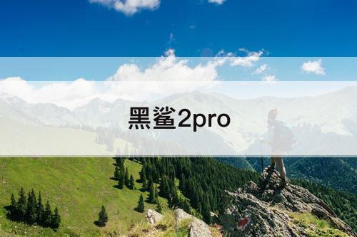 黑鲨2pro