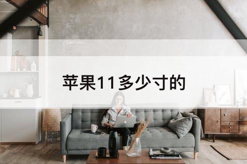 苹果11多少寸的