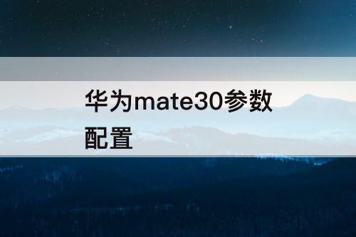 华为mate30参数配置
