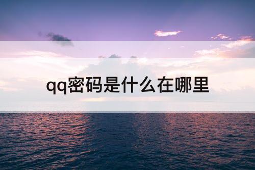 qq密码是什么在哪里