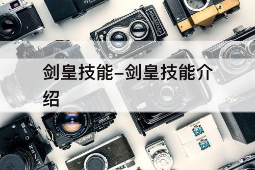 剑皇技能-剑皇技能介绍