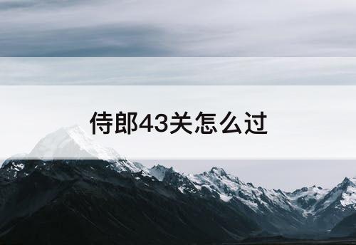 侍郎43关怎么过