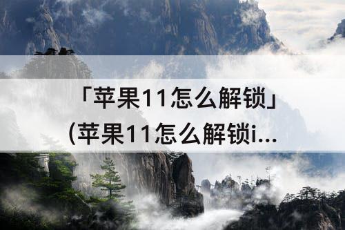 「苹果11怎么解锁」(苹果11怎么解锁id)