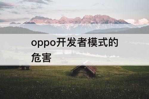 oppo开发者模式的危害