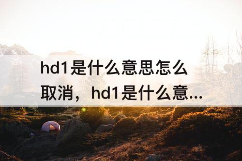 hd1是什么意思怎么取消，hd1是什么意思怎么取消opporeno6手机