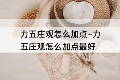 力五庄观怎么加点-力五庄观怎么加点最好