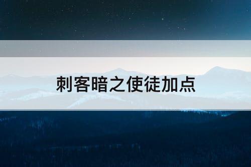 刺客暗之使徒加点