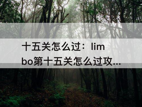 十五关怎么过：limbo第十五关怎么过攻略教程