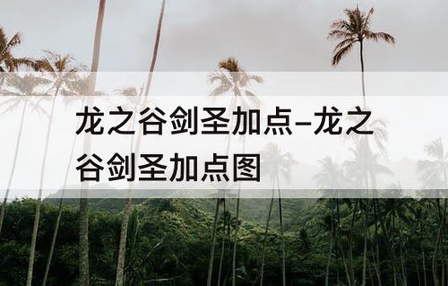 龙之谷剑圣加点-龙之谷剑圣加点图