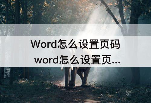 Word怎么设置页码 word怎么设置页码从第二张开始office