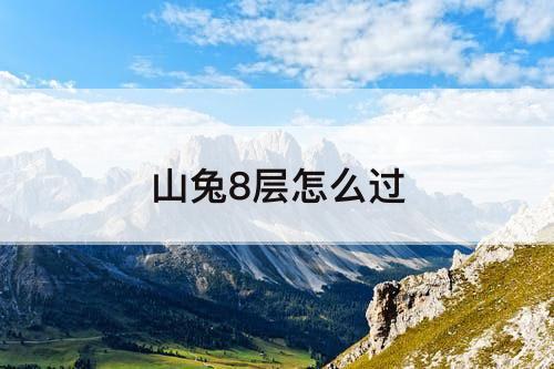 山兔8层怎么过