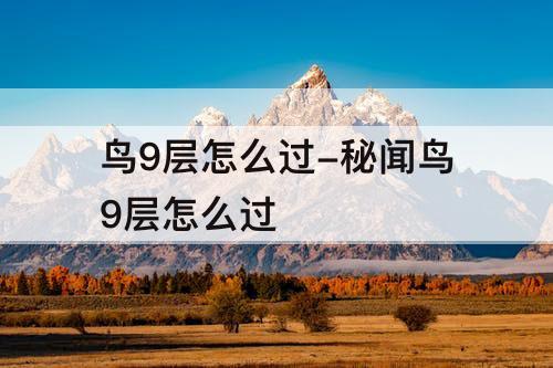 鸟9层怎么过-秘闻鸟9层怎么过