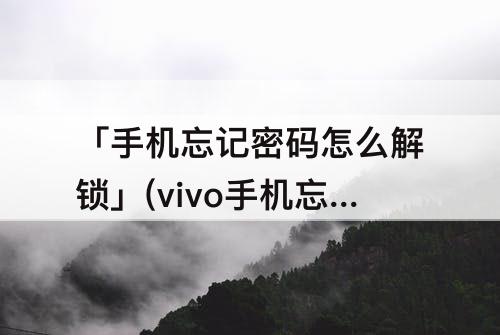「手机忘记密码怎么解锁」(vivo手机忘记密码怎么解锁)