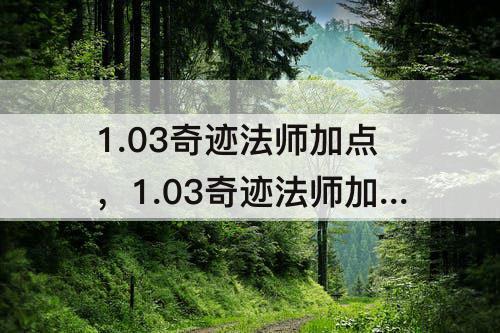 1.03奇迹法师加点，1.03奇迹法师加点4500