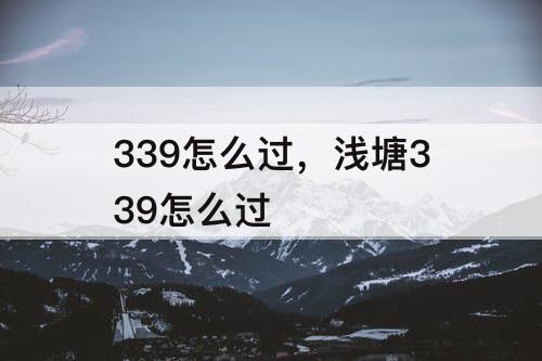 339怎么过，浅塘339怎么过