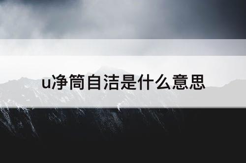 u净筒自洁是什么意思