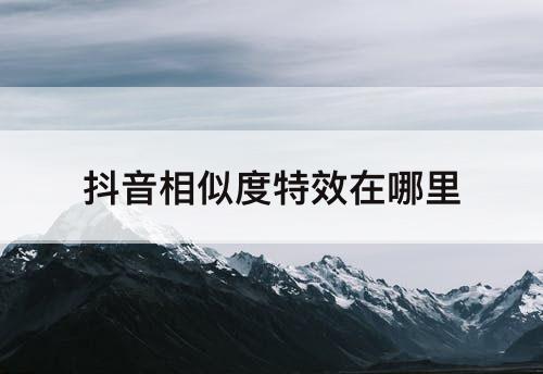 抖音相似度特效在哪里