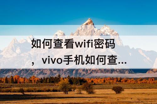 如何查看wifi密码，vivo手机如何查看wifi密码是多少