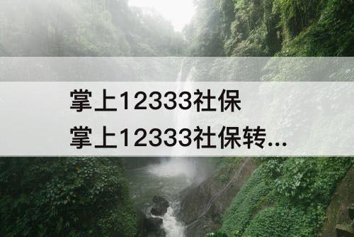 掌上12333社保 掌上12333社保转移流程选不了转入地
