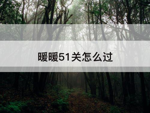 暖暖51关怎么过
