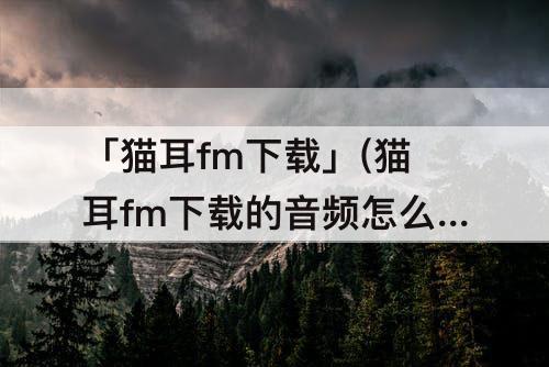 「猫耳fm下载」(猫耳fm下载的音频怎么导出mp3)