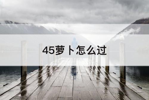 45萝卜怎么过