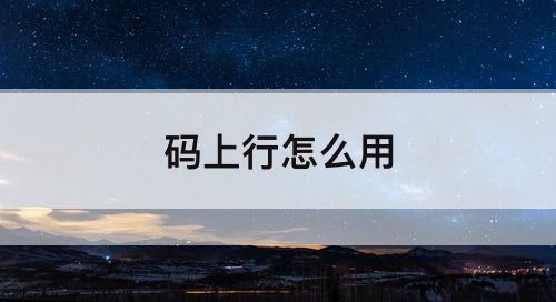 码上行怎么用