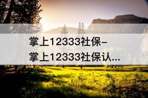 掌上12333社保-掌上12333社保认证养老金
