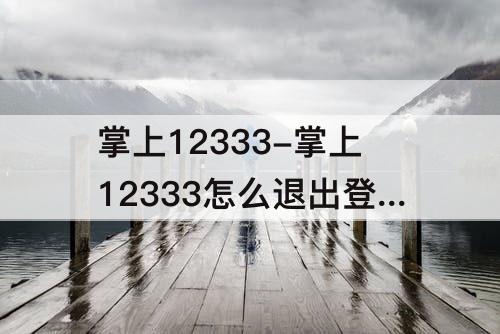 掌上12333-掌上12333怎么退出登录