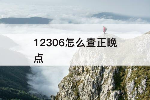 12306怎么查正晚点
