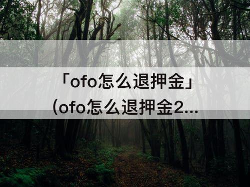 「ofo怎么退押金」(ofo怎么退押金2022)