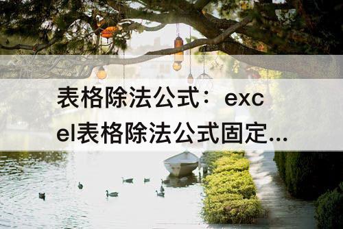 表格除法公式：excel表格除法公式固定分母
