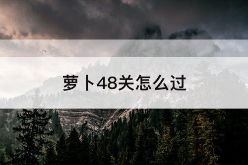 萝卜48关怎么过