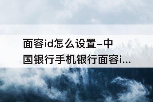 面容id怎么设置-中国银行手机银行面容id怎么设置