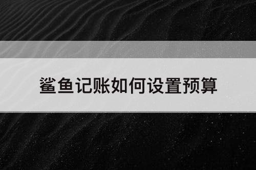 鲨鱼记账如何设置预算