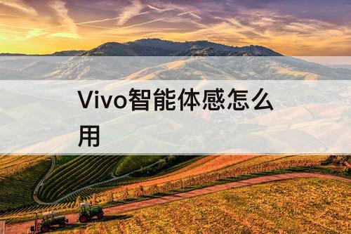 Vivo智能体感怎么用