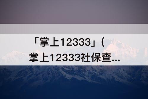「掌上12333」(掌上12333社保查询网官网app下载)