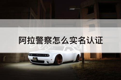 阿拉警察怎么实名认证