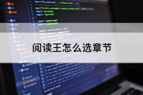 阅读王怎么选章节