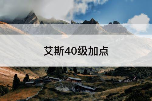 艾斯40级加点