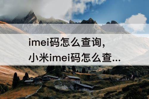 imei码怎么查询，小米imei码怎么查询