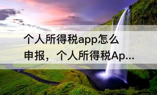 个人所得税app怎么申报，个人所得税App怎么申报补税流程