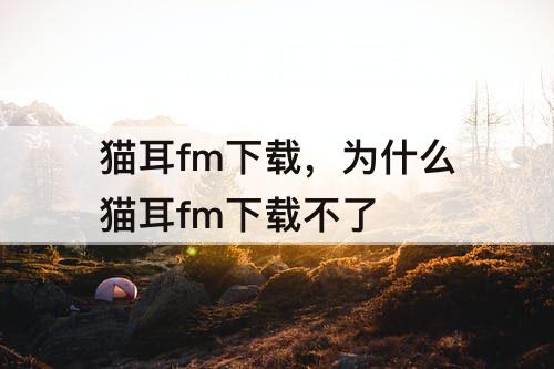 猫耳fm下载，为什么猫耳fm下载不了