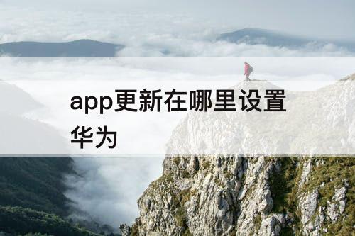 app更新在哪里设置华为