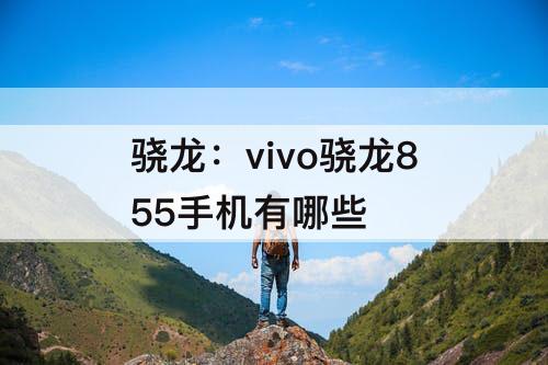 骁龙：vivo骁龙855手机有哪些